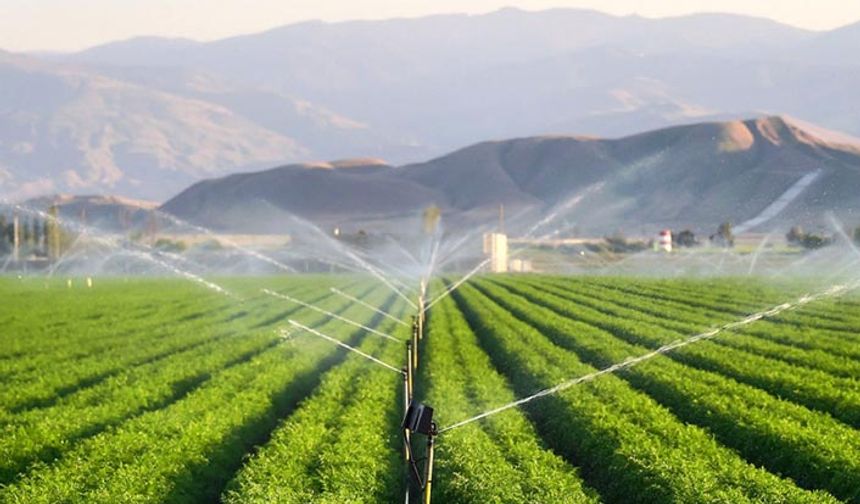 Mardin'de bin 500 tarımsal sulama abonesinin elektrik borcu 1.3 milyar liraya ulaştı