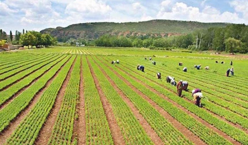 Tarım İl Müdürlüğü duyurdu: Çiftçi kursları, toplantı ve etkinlikler iptal edildi