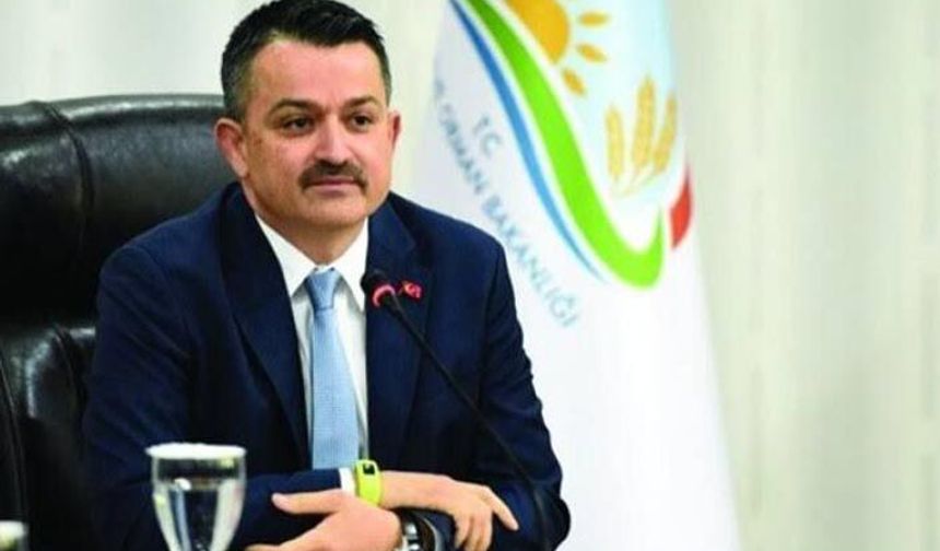 Samsun'da tarım ve çiftçiye verilecek destekler