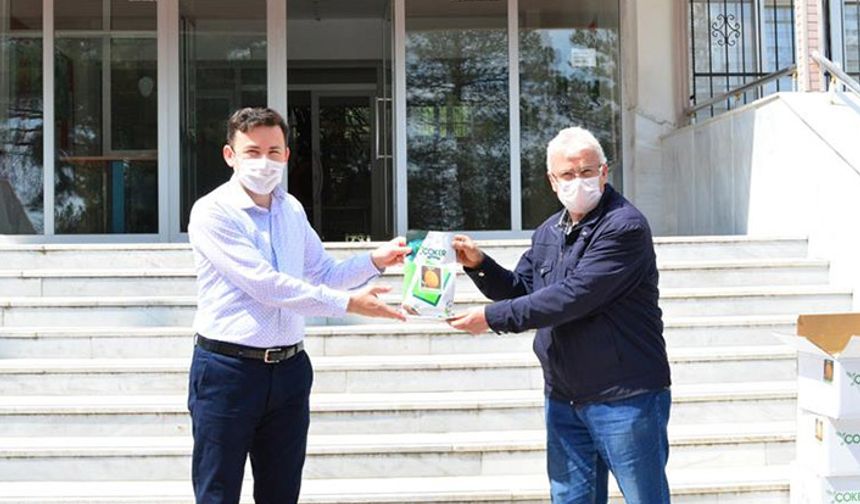 Üreticilere kavun tohumu dağıtıldı