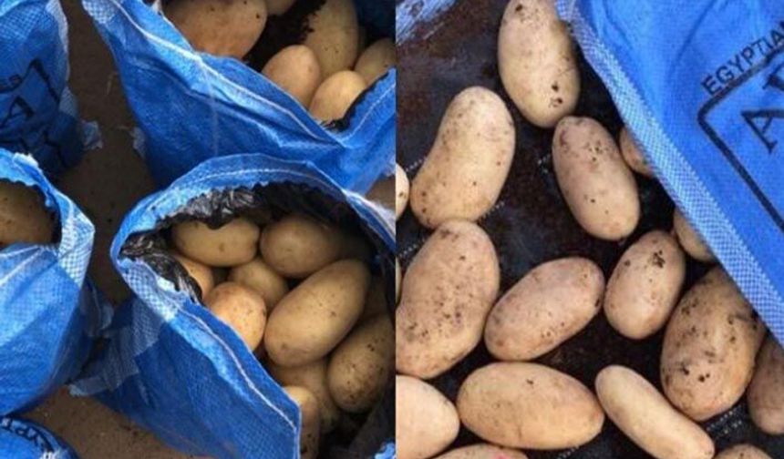 Suriye'ye gitmesi gereken Mısır patatesi Türkiye'de satılıyor üretici Bakandan açıklama bekliyor