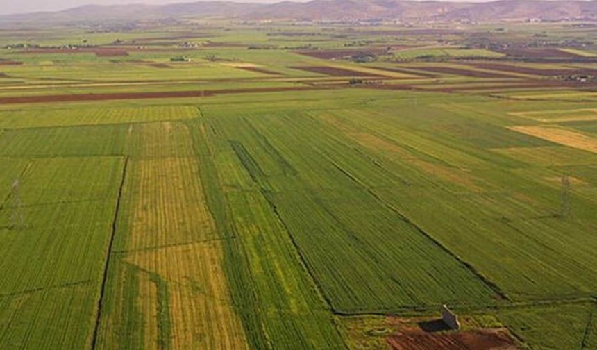 Çiftçi hazine arazilerinde tapuları olmadığı için destek alamıyor!