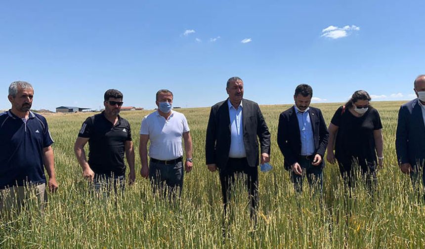 ÇKS’li TARSİM’li olup olmadıklarına bakılmaksızın çiftçinin zararı karşılanmalı