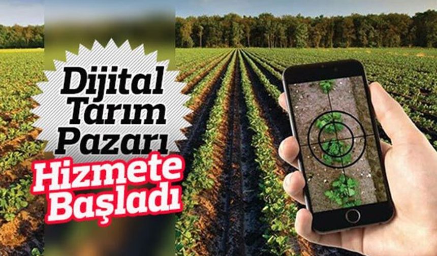 Dijital Tarım Pazarında çiftçi ürününü değerinde istediği fiyattan satabilecek