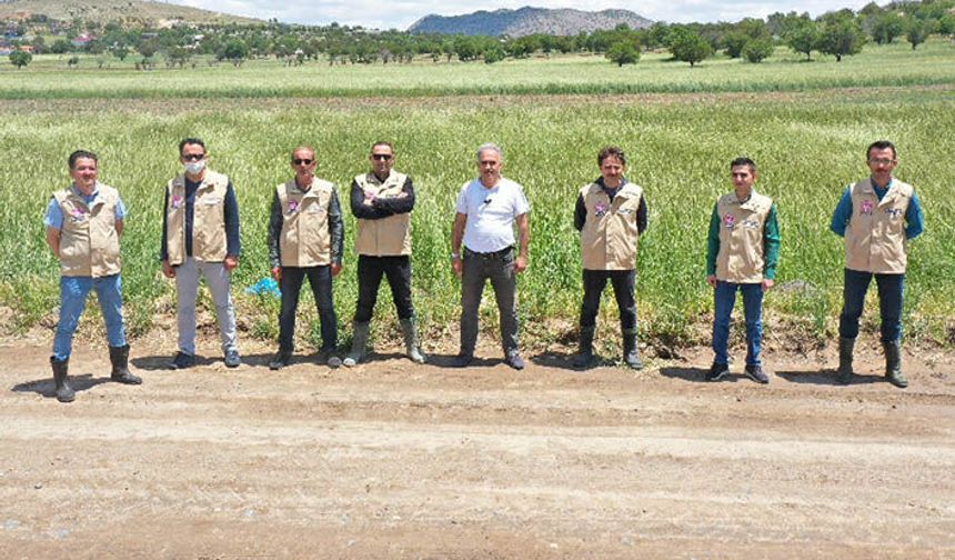 Acıgöl'de ilçe müdürlüğünden süneyi söküp atacak proje