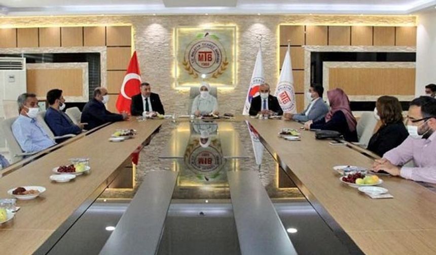 Kayısı rekolte tahmini açıklandı 104 bin tonun 85 bin tonu Malatya'dan