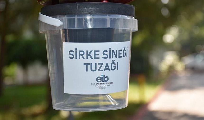 Sirke sineği tuzaklarının Ege Bölgesinde yaygınlaştırılması hedefleniyor
