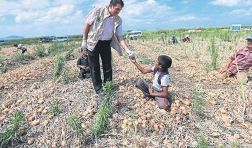 Tarım işçilerine ve çocuklarına tarlada süt dağıtıldı