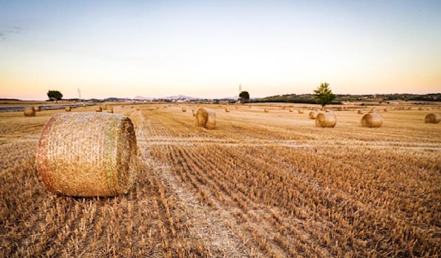 Tarımda kullanılan kredi miktarı: Çiftçi son bir yılda ne kadar kredi kullandı?