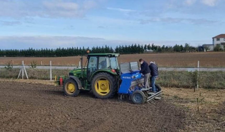 Yerli ve milli yulaf tohumları toprakla buluştu