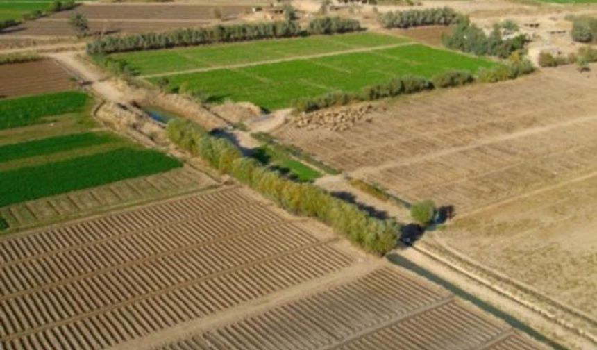 Çinli şirketlerden Irak'a tarım yatırımı teklifi