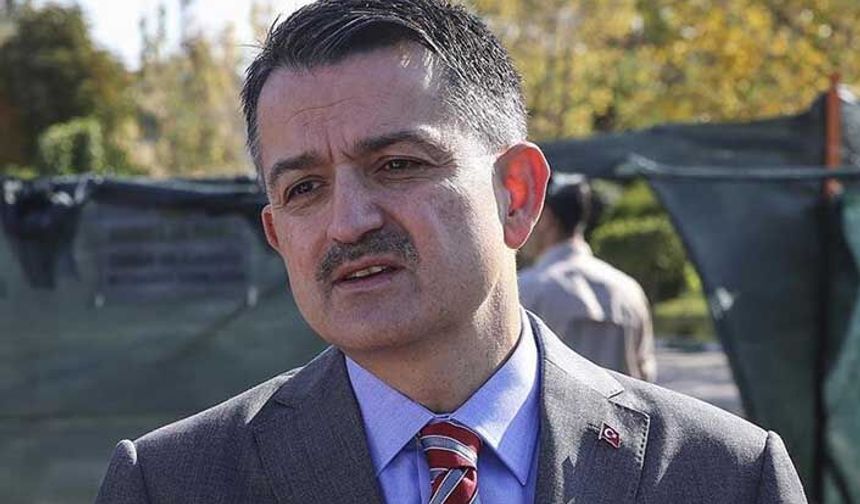 Orman Genel Müdürlüğüne 2 bin geçici işçi alınacak