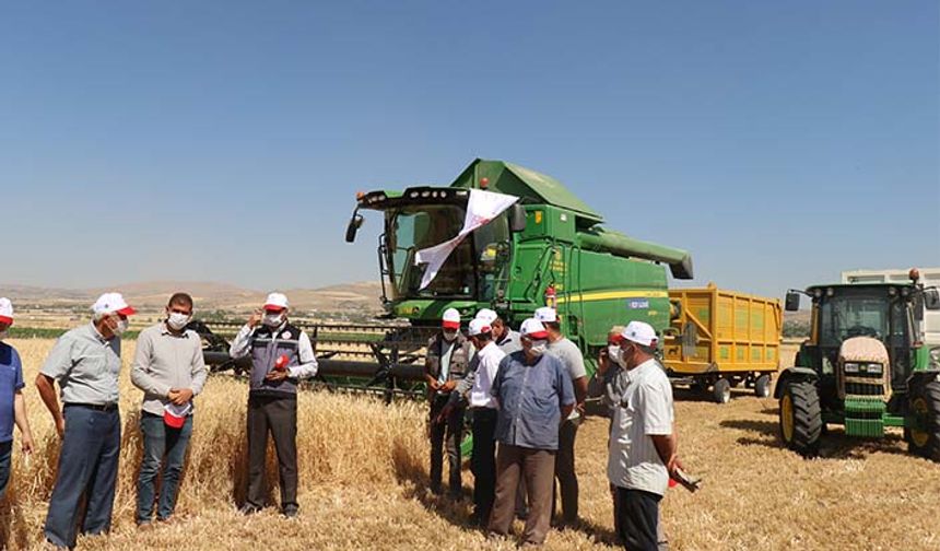 Elazığ'da yılın ilk hububat hasadı başladı