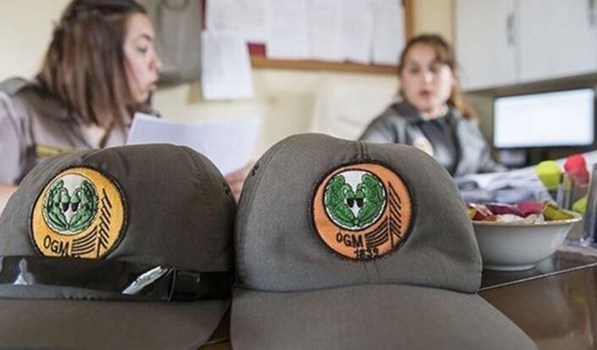 Orman Genel Müdürlüğünde sözleşmeli personelin harcırah sorunu çözüldü