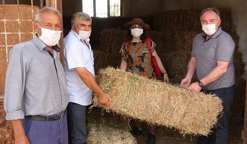 Bir yardım kampanyası da Germencik'ten! Manavgatlı üreticilere saman yonca yardımı