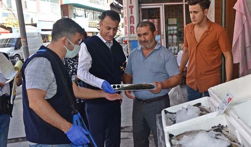 Balık satış yerlerinde denetimler yapıldı