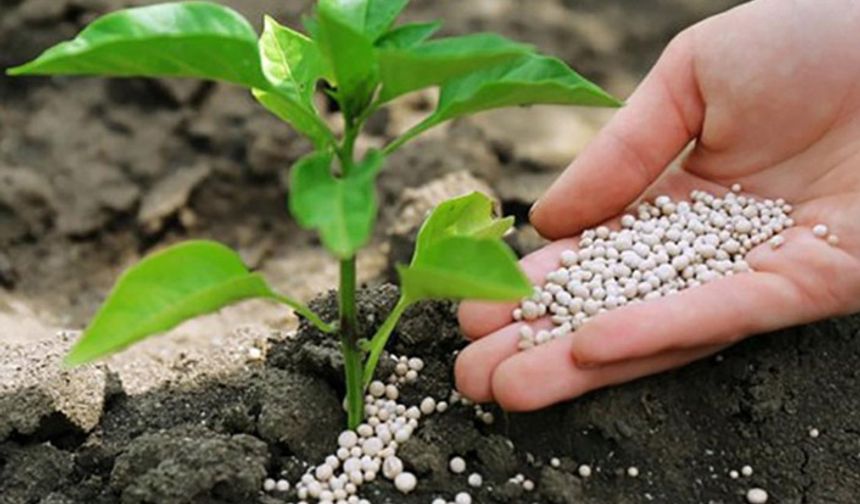 11 bin çiftçiye yüzde 50 hibeli gübre verilecek