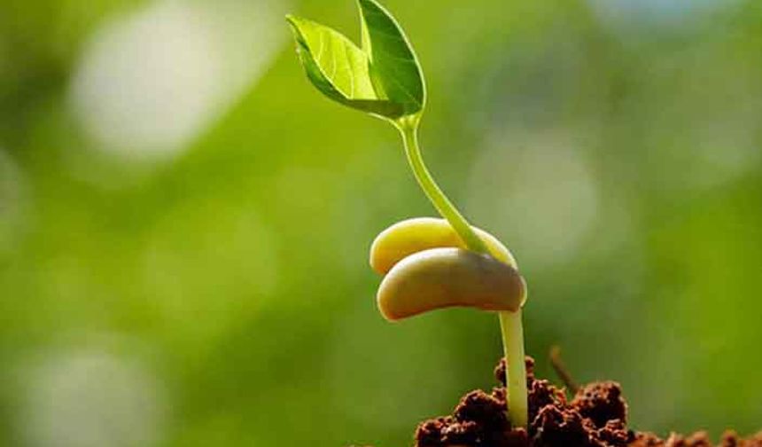 2022 yılı tohumluk analiz ve test ücreti ne kadar oldu?