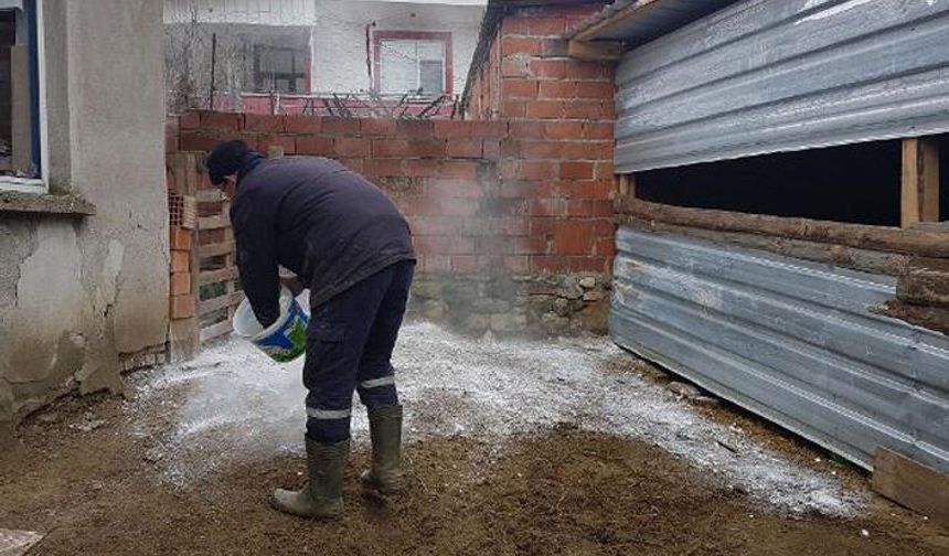 Şap hastalığı nedeniyle 7 köy karantinaya alındı