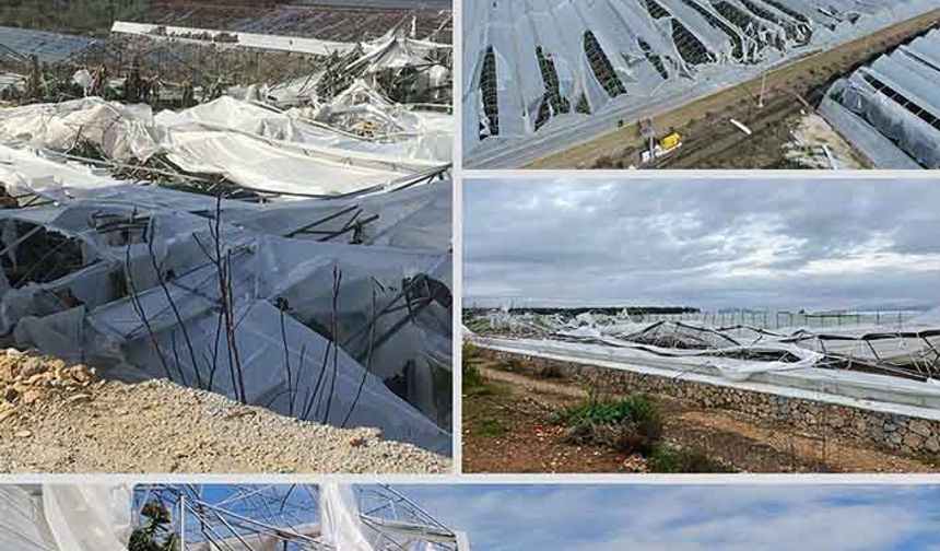 TARSİM'den Antalya'da doğal afetten etkilenen çiftçilerle ilgili açıklama!