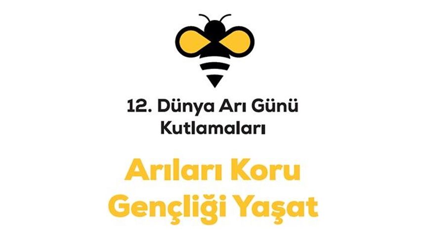 Arıcılar 20 Mayıs'a hazırlanıyor! Dünya Arı Günü kutlamaları bu yıl Tokat'ta yapılacak!