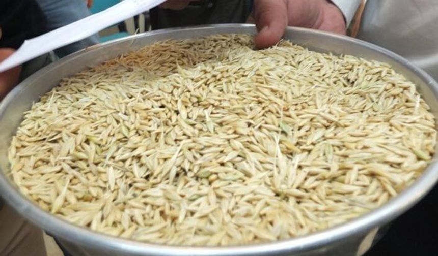 Hasatla birlikte arpa fiyatları takip ediliyor! Mardin'den sonra Şanlıurfa'da da ilk arpa 9 bin liraya satıldı!