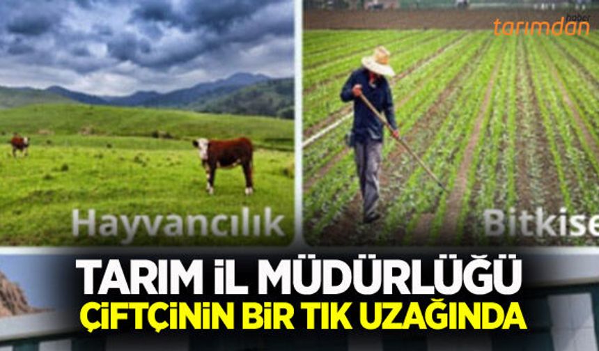 Tarım İl Müdürlüğü çiftçinin bir tık uzağında!