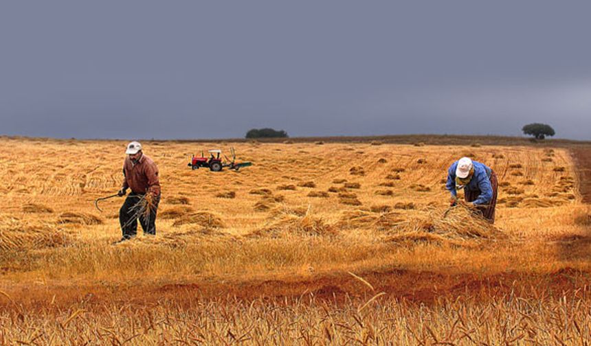 "İthalat tarımı bitiriyor"