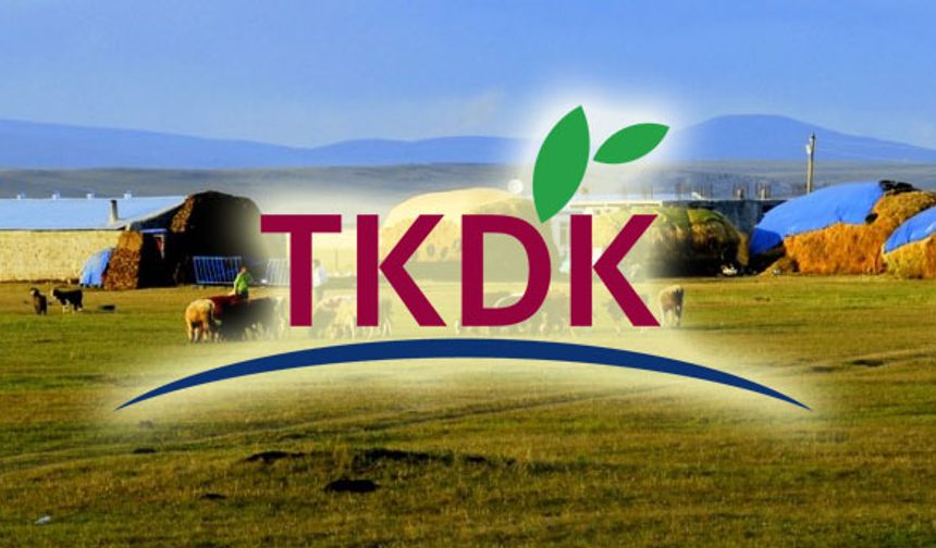 Hibe başvuruları başladı