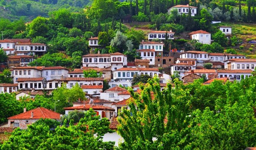 Gönüllü köy aranıyor