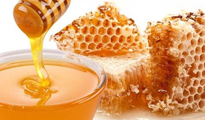 Yeşildere balı birinci seçildi