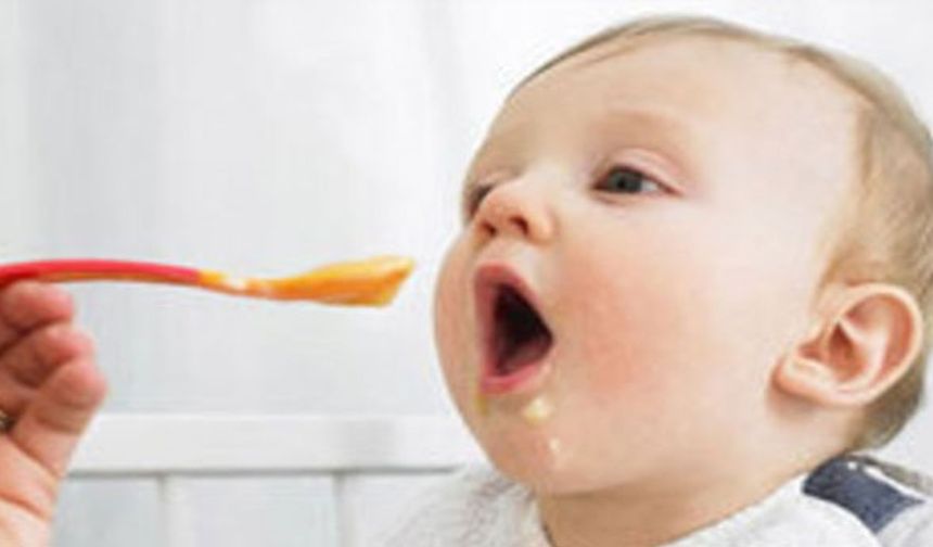 Bakteri bulunduran mamalarda yeni skandal