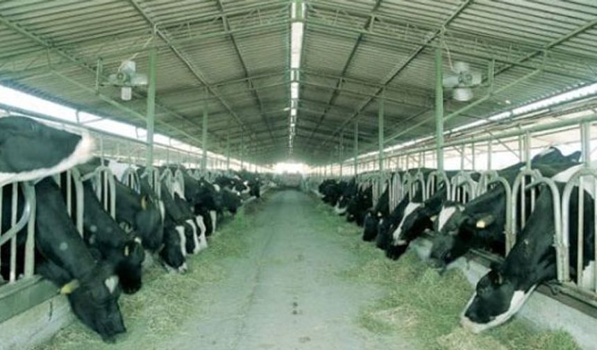 Hibe desteklerini kaçırmayın