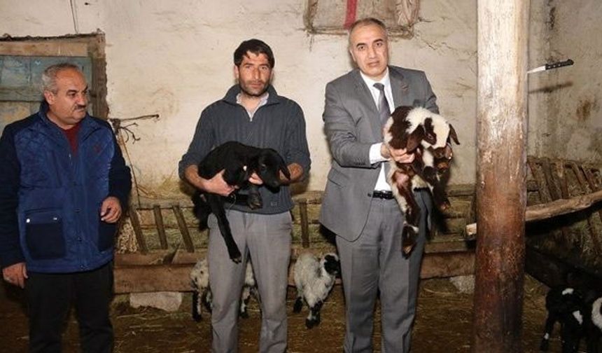 Genç Çiftçi Projesi ile hayaline kavuştu