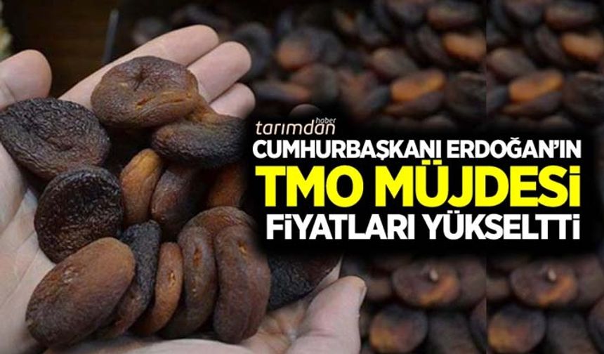 Kuru kayısıda TMO açıklaması fiyatları olumlu etkiledi