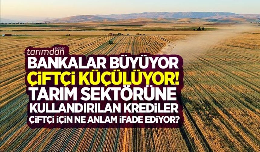 Bankalar kazanıyor çiftçi kaybediyor!