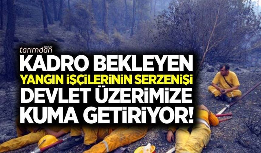 Orman Genel Müdürlüğünde kadro bekleyen orman işçileri: Bizlere kadro verilmezken devlet üzerimize kuma getiriyor