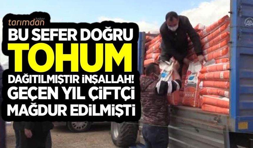 Ağrı'da mağdur edilen çiftçiye korunga ve silajlık mısır tohumu dağıtıldı!