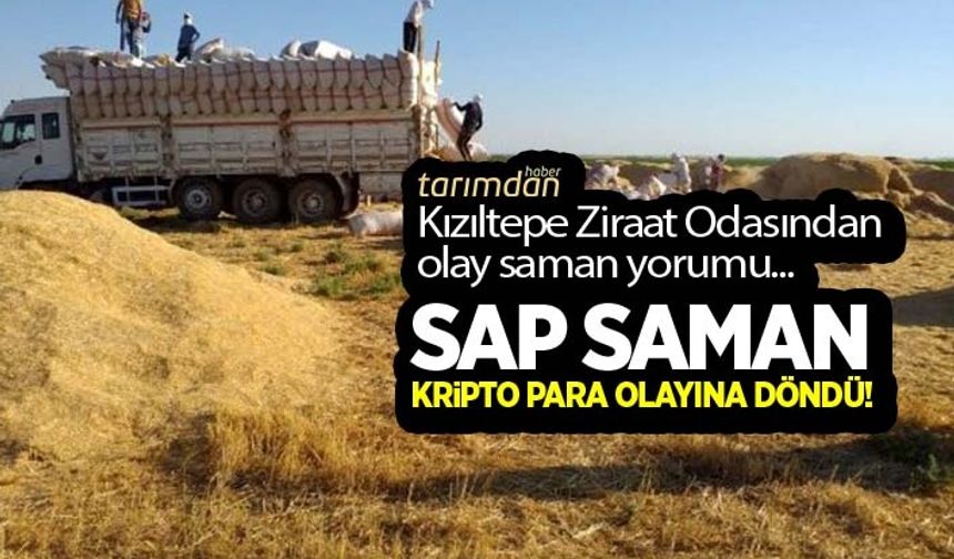 Kızıltepe Ziraat Odasından olay saman yorumu: Sap saman olayı kripto para olayına döndü!