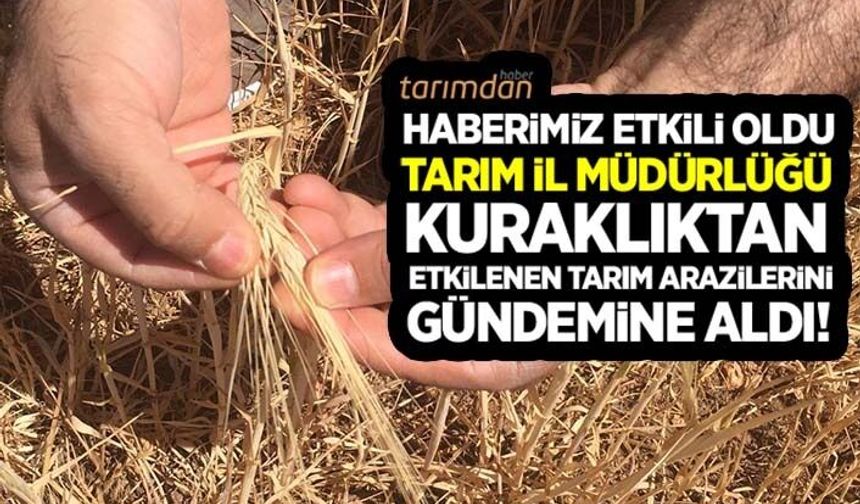 Haberimiz etkili oldu Tarım İl Müdürlüğü kuraklıktan etkilenen arazileri gündemine aldı!