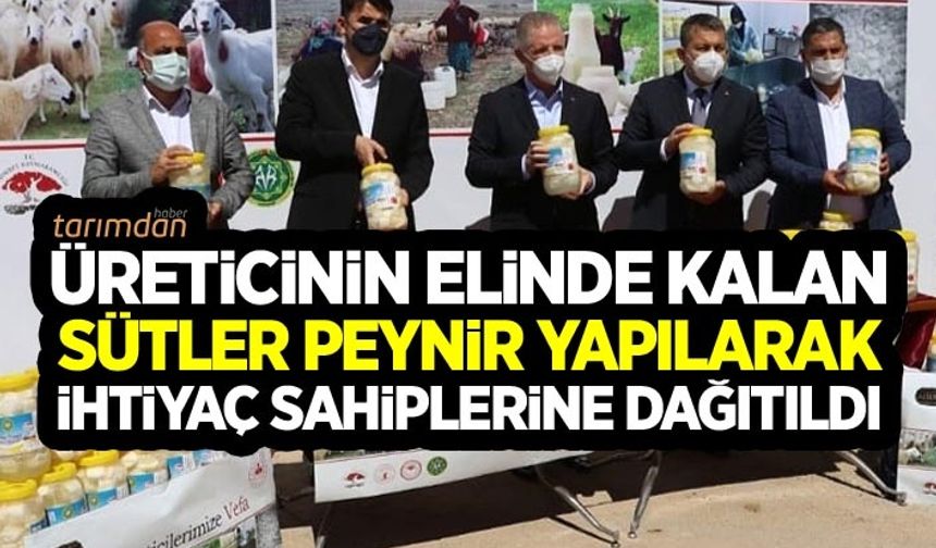 Üreticinin elinde kalan koyun keçi sütleri peynir yapılarak ihtiyaç sahiplerine dağıtıldı!