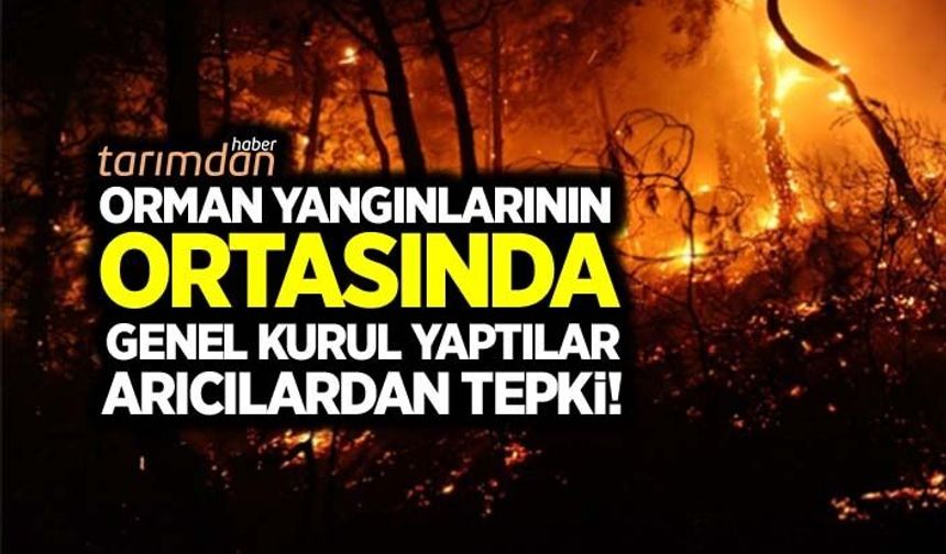 Orman yangınlarının ortasında genel kurul yaptılar! Arıcılardan tepki!