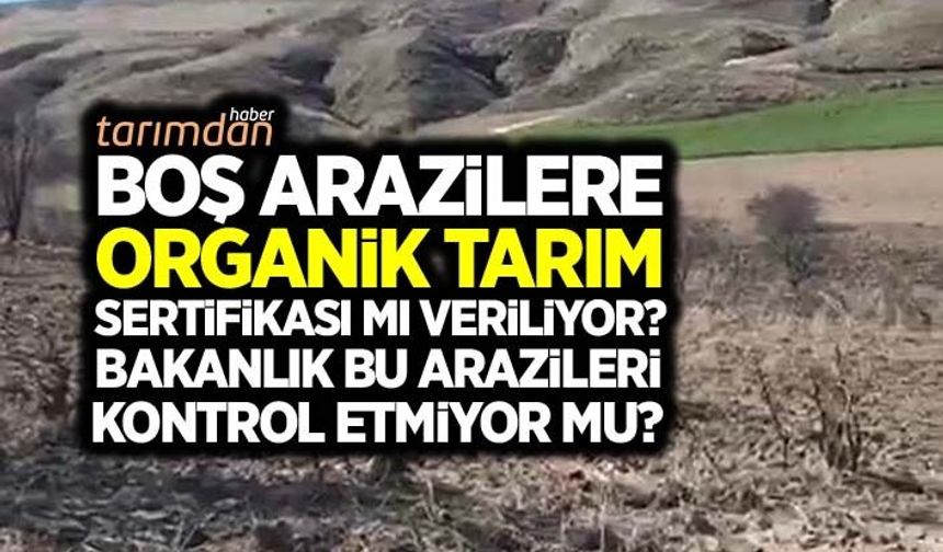 Boş arazilere organik tarım sertifikası iddiası! Bakanlık bu belgeleri nasıl veriyor?
