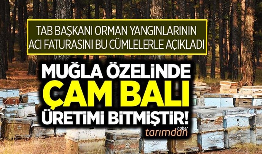 TAB Başkanı Şahin: Muğla özelinde çam balı üretimi bitmiştir!