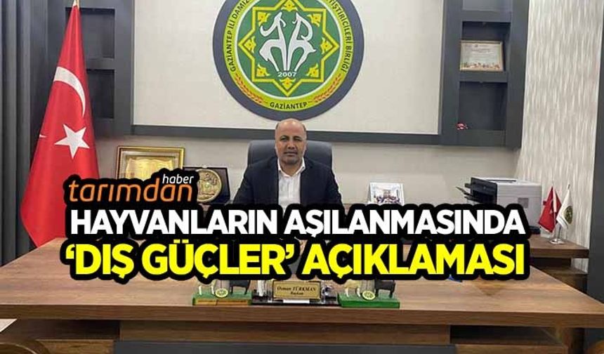 Gaziantep'de hayvanların aşılanmasına 'dış güçler' açıklaması!