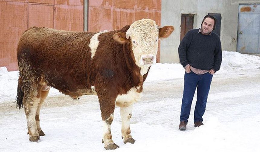 "Paşa"sını Mehmetçiğe bağışladı