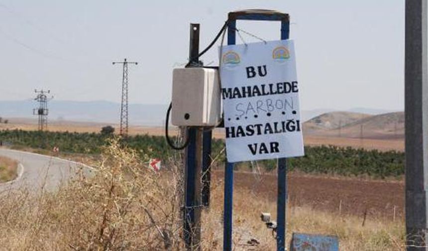 Tunceli’de şarbon hastalığına rastlanıldı