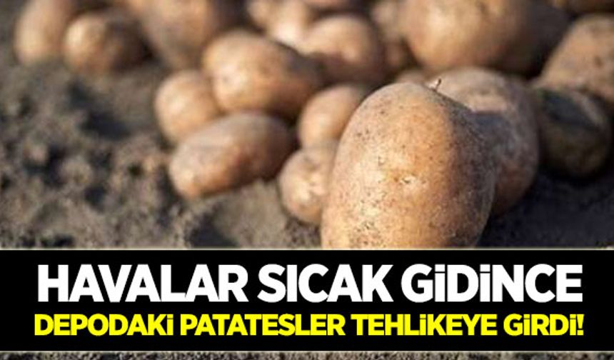 Patatesler stokta kaldı!
