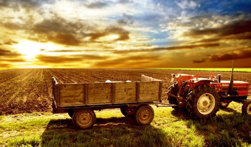 Tarımda 5 projeye 33 milyon lira kaynak!