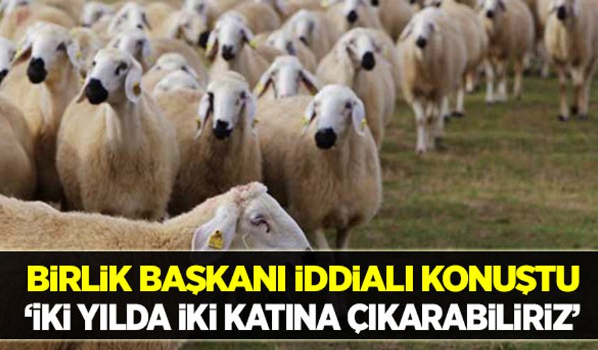 "Milli ve yerli hayvanlara destek istiyoruz"